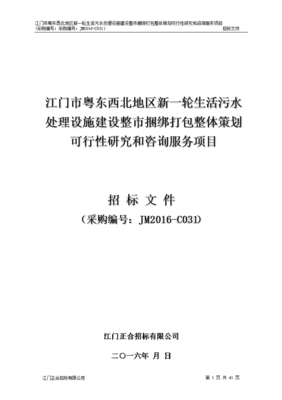 整市捆绑打包整体策划可行性研究与咨询服务项目的价值实现路径—基于某市